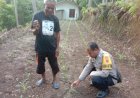 Bhabinkamtibmas-Polres-Sikka-Aktif-Dukung-Program-Ketahanan-Pangan-Nasional,-Dapat-Apresiasi-dari-Pejabat-Polres-Sikka