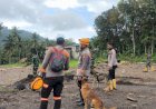 Hari-ke-11,-Tiga-Korban-Banjir-Bandang-Mauponggo-Belum-Ditemukan,-Tim-Gabungan-Terus-Sisir-Sungai-Teodhae