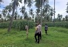 Pastikan-Agenda-Nasional-Berjalan-Optimal,-Polres-Sikka-Polda-NTT-Lakukan-Pengecekan-Lokasi-Panen-Raya
