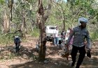 Arena-Judi-Sabung-Ayam-Disergap-Polsek-Paga-Polres-Sikka,-Pelaku-Berhamburan,-Lima-Ayam-Diamankan