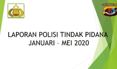 Laporan-Polisi-Tindak-Pidana-Januari---Mei-2020-Polres-Sikka