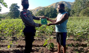 Laksanakan-Kegiatan-Sambang,-Bripka-Yohanes-Aprilyance-Berikan-Bantuan-Bibit-Sayuran-Kepada-Warga