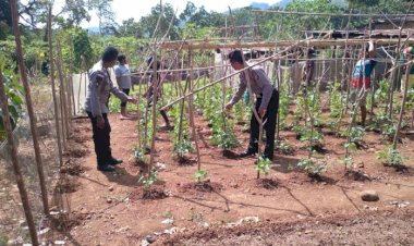 Kapolsubsektor-Nebe-Sosialisasikan-Pembentukan-Kampung-Tangguh-Di-Desa-Timutawa,-Talibura