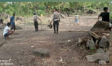 Polsek-Waigete-Grebek-Judi-Sabung-Ayam,-Pelaku-Melarikan-Diri