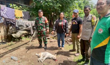 Bhabinkamtibmas-Ikut-Serta-dalam-Kegiatan-Penertiban-Hewan-Penular-Rabies-di-Kelurahan-Wolomarang,-Alok-Barat