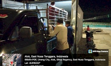 Lakukan-Patroli-Rutin,-Piket-Pospol-KPPP-Laut-Maumere-Wujudkan-Area-Pelabuhan-Maumere-Aman-dan-Kondusif