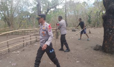 Tindak-Tegas-Polsek-Nelle:-Dua-Arena-Judi-Sabung-Ayam-Dimusnahkan