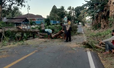 PATROLI-DIALOGIS-GUNA-MELAKUKAN-PENGATURAN-LALIN--&-MEMBANTU-WARGA-MEMBERSIHKAN-JALAN-AKIBAT-POHON-TUMBANG