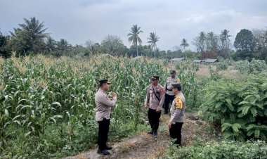 Waka-Polres-Sikka-Mengecek-Lahan-Pertanian-Polsek-Waigete-dalam-Rangka-Program-Ketahanan-Pangan-Nasional