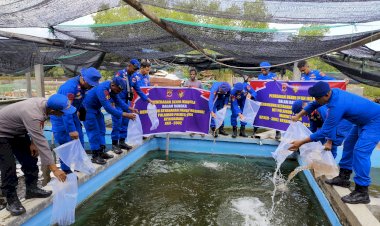Sat-Polairud-Polres-Sikka-Tebar-3.000-Benih-Ikan-Nila,-Dukung-Program-Ketahanan-Pangan-Nasional