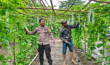 Warga-Antusias-Kembangkan-Lahan-Hortikultura-:-Polsek-Kewapante-dan-Polsek-Paga-Dukung-Program-Ketahanan-Pangan