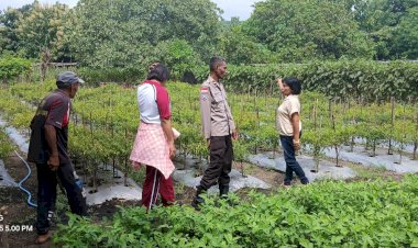Bhabinkamtibmas-Dampingi-Petani,-Lahan-Tidur-Berubah-Jadi-Sumber-Pangan