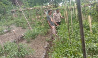 BHABINKAMTIBMAS-DESA-SIKKA-DORONG-PEMANFAATAN-PEKARANGAN-UNTUK-KETAHANAN-PANGAN
