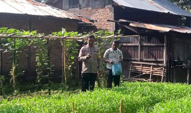 “Bersama-Petani,-Polres-Sikka-Bangun-Ketahanan-Pangan-Dari-Pekarangan”