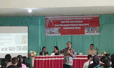Dinas-Kesehatan-Sikka-Gelar-Pelatihan-Keamanan-Pangan-untuk-Dapur-SPPG,-Dukung-Program-MBG-Presiden-RI