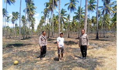 “Sinergi-Polres-Sikka-dan-Poktan-Karitas:-Siapkan-Lahan-10-Hektar-untuk-Tanam-Jagung”