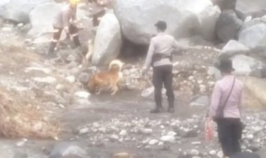 Personil-BKO-Polres-Sikka-Polda-NTT-Bersama-Tim-K-9-Polda-NTT-Laksanakan-Pencarian-Korban-Bencana-Alam-di-Kecamatan-Mauponggo,Kab.Nagekeo,-NTT