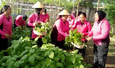 Bhayangkari-Cabang-Sikka-Gelar-Panen-Raya-Program-P2L,-Dorong-Kemandirian-Pangan-Keluarga