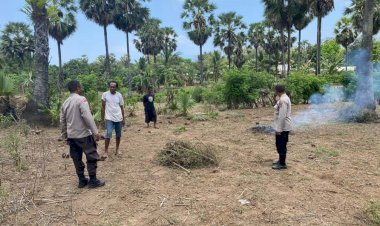 “Polri-Hadir-untuk-Petani:-Polsek-Kewapante-Polres-Sikka-Tinjau-dan-Bantu-Persiapan-Lahan-Jagung-di-Desa-Langir”