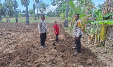 Gerakan-Lumbung-Jagung-Kapolda-NTT,-Polsek-Kewapante-Polres-Sikka-Turun-Tangan-di-Desa-Langir
