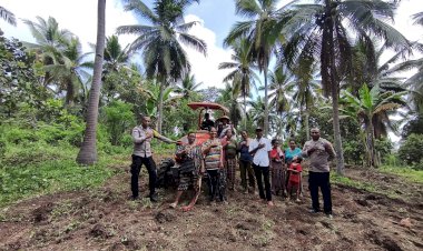 “Dukung-Lumbung-Jagung-Kapolda-NTT,-Polres-Sikka-Polda-NTT-Panen-dan-Olah-Lahan-Bersama-Petani”