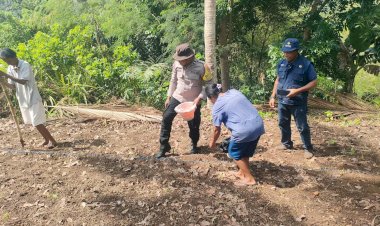 Polres-Sikka-Polda-NTT-Dorong-Kemandirian-Pangan-Lewat-Gerakan-Lumbung-Jagung-Kapolda-NTT