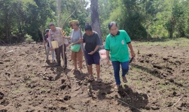 Dari-Mako-ke-Lahan:-Bhabinkamtibmas-Desa-Langir-Buktikan-Polres-Sikka-Polda-NTT-Juga-Pejuang-Pangan