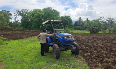 Sinergi-di-Tengah-Ladang:-Bhabinkamtibmas-Polres-Sikka-Polda-NTT-dan-Petani-Nuba-Puan-Genjot-Produksi-Jagung