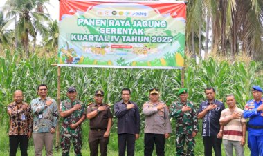 Panen-Raya-Jagung-Serentak-Jadi-Momentum-Polres-Sikka-Polda-NTT-Perkokoh-Ketahanan-Pangan-Nasional-dan-Daerah
