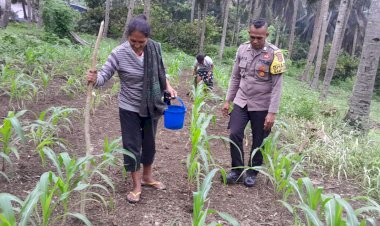 Jaga-Diserang-Hama,-Polres-Sikka-Polda-NTT-Tak-Diam:-Bhabinkamtibmas-Polsek-Nita-Turun-Kawal-Ketahanan-Pangan