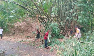 Jalur-Maumere–Koting-Sempat-Terhambat,-Respons-Cepat-Polsek-Nelle-Polres-Sikka-Kembalikan-Kelancaran-Lalu-Lintas