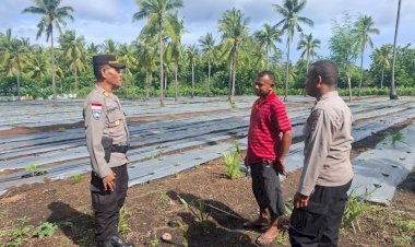 “Penggalangan-Polres-Sikka-Polda-NTT-di-BUMDes-Waiara:-Polri-Hadir,-Ketahanan-Pangan-Terjaga”