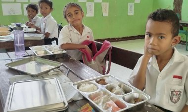 Dari-Dapur-SPPG-ke-Sekolah-dan-Posyandu,-MBG-Sikka-Tembus-41-Ribu-Penerima