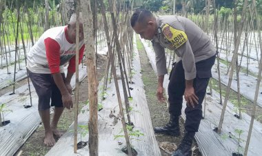 Gerak-Nyata-Polres-Sikka-Polda-NTT:-Mengawal-Pangan,-Menguatkan-Ekonomi-Rakyat
