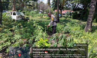 Pekarangan-Jadi-Ladang-Harapan,-Polsek-Kewapante-Polres-Sikka-Pimpin-Gerakan-Pangan-Bergizi