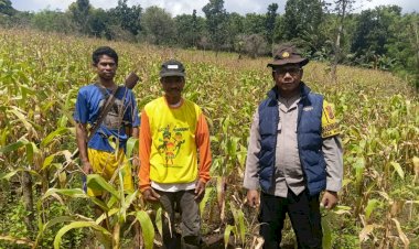 “Di-Balik-Seragam,-Ada-Kepedulian:-Polres-Sikka-Kawal-Ketahanan-Pangan-Hingga-Pelosok-Desa”