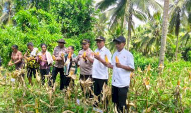 Di-Ladang-Nataweru,-Polsek-Nita-Polres-Sikka-Buktikan-Ketahanan-Pangan-Bukan-Sekadar-Wacana