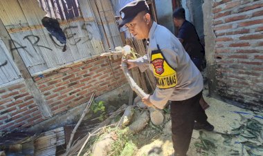 “Sigap-di-Tengah-Bencana:-Polsek-Paga-Polres-Sikka-Evakuasi-Pohon-Tumbang-di-Masebewa”