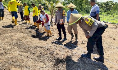 Polres-Sikka-dan-Warga-Natakoli-Bersinergi,-1-Hektare-Lahan-Jadi-Simbol-Kebangkitan-Ketahanan-Pangan