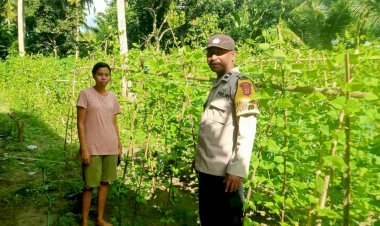 Perempuan-Tani-di-Kotandelu-Jadi-Garda-Depan-Ketahanan-Pangan,-Polres-Sikka-Turun-Langsung-Beri-Pendampingan