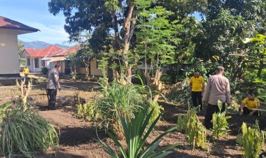 Polsek-Nelle-Polres-Sikka-Tancap-Gas-Wujudkan-Ketahanan-Pangan,-Lahan-Tidur-Disulap-Jadi-Kebun-Produktif