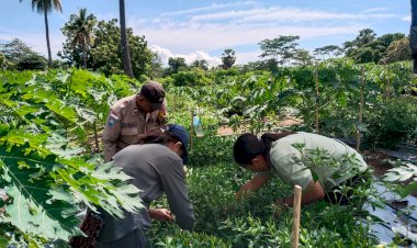 Revolusi-Pangan-Dimulai-dari-Desa:-Polres-Sikka-Jadi-Motor-Penggerak-Ketahanan-Pangan-Rakyat