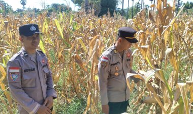 “Ketahanan-Pangan-Dijaga-Bersama,-Polres-Sikka-Sambangi-Petani-Desa-Habi”