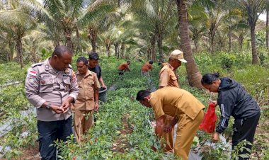 “Dari-Pekarangan-Bergizi-hingga-Panen:-Polsek-Nelle–Nita-Tegaskan-Komitmen-Bangkitkan-Ketahanan-Pangan”
