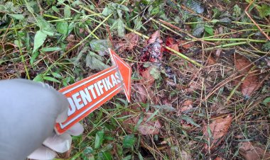 Berburu-Berujung-Maut,-Diduga-Diserang-Babi-Hutan,-Polsek-Waigete-dan-Tim-INAFIS-Lakukan-Olah-TKP