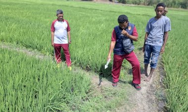 “Petani-Magepanda-Ditemukan-Tak-Bernyawa,-Tim-Inafis-Polres-Sikka-Olah-TKP”