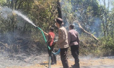 Hutan-Lindung-Egon-Ilinmedo-Terbakar,-Polres-Sikka-dan-Polsek-Waigete-Bergerak-Cegah-Api-Meluas