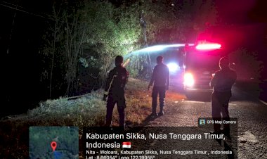 Api-Membesar-di-Tepi-Jalan-Trans-Maumere–Ende,-Polres-Sikka-dan-Damkar-Berjibaku-Padamkan-Kebakaran-Lahan-Bambu