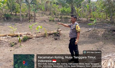 Polres-Sikka-Sisir-Enam-Kecamatan,-4,3-Hektare-Lahan-Dipetakan-untuk-Dukung-Ketahanan-Pangan