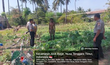 Lawan-Tantangan-Kemarau,-Polres-Sikka-Dampingi-Petani-Wujudkan-Ketahanan-Pangan
